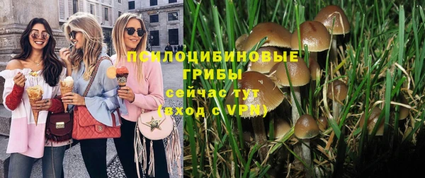 первитин Белоозёрский
