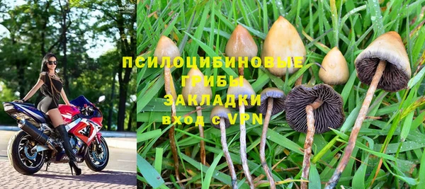 первитин Белоозёрский